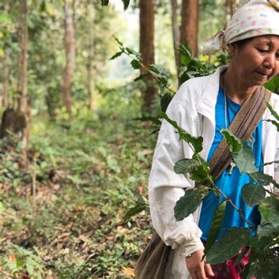  Ordinary Heroes: A Journey Through the Tapestry of Thai Resilience