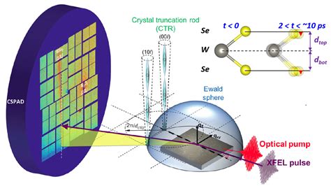   X-Ray Vision: A Probing Examination of the Material World